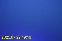 Img20250729_191944.jpg