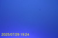 Img20250729_192444.jpg