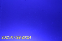 Img20250729_202444.jpg