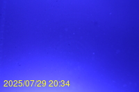 Img20250729_203444.jpg