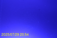 Img20250729_205444.jpg