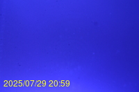 Img20250729_205944.jpg