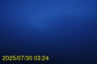 Img20250730_032446.jpg