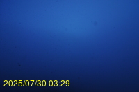 Img20250730_032946.jpg