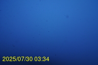 Img20250730_033446.jpg