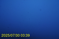 Img20250730_033946.jpg