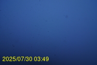 Img20250730_034946.jpg