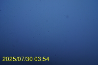 Img20250730_035446.jpg