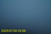 Img20250730_035946.jpg