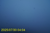 Img20250730_040446.jpg