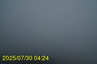 Img20250730_042446.jpg
