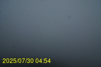 Img20250730_045446.jpg