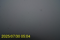 Img20250730_050446.jpg