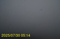 Img20250730_051446.jpg