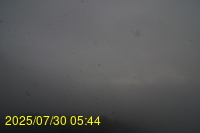 Img20250730_054446.jpg