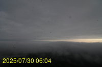 Img20250730_060446.jpg