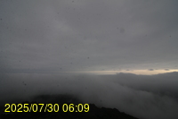 Img20250730_060946.jpg