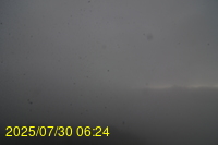 Img20250730_062446.jpg