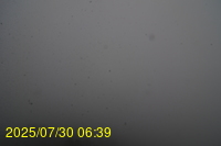 Img20250730_063946.jpg