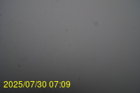 Img20250730_070946.jpg