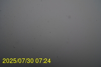 Img20250730_072446.jpg