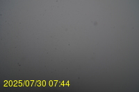 Img20250730_074446.jpg