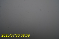 Img20250730_080946.jpg