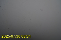 Img20250730_083446.jpg
