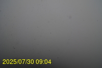 Img20250730_090447.jpg