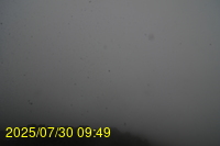 Img20250730_094947.jpg