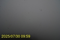 Img20250730_095947.jpg