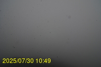 Img20250730_104947.jpg