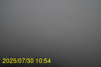 Img20250730_105447.jpg