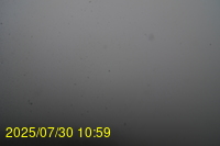 Img20250730_105947.jpg