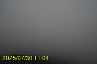 Img20250730_110447.jpg