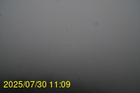 Img20250730_110947.jpg