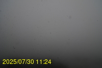 Img20250730_112447.jpg