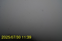 Img20250730_113947.jpg