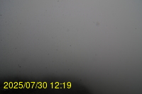 Img20250730_121947.jpg