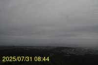 Img20250731_084451.jpg