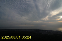 Img20250801_052454.jpg