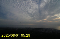 Img20250801_052954.jpg