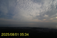Img20250801_053454.jpg