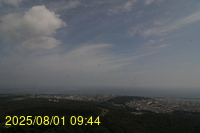 Img20250801_094455.jpg