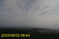 Img20250802_084459.jpg