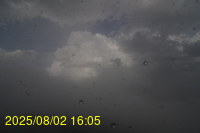 Img20250802_160500.jpg