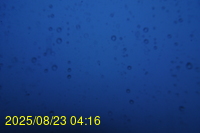 Img20250823_041623.jpg