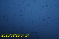Img20250823_043123.jpg