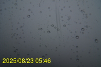 Img20250823_054624.jpg