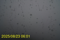 Img20250823_060124.jpg